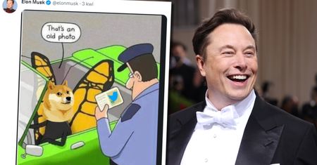 Elon Musk zastąpił niebieskiego ptaszka na Twitterze ikoną doge'a. Kurs Dogecoina wystrzelił