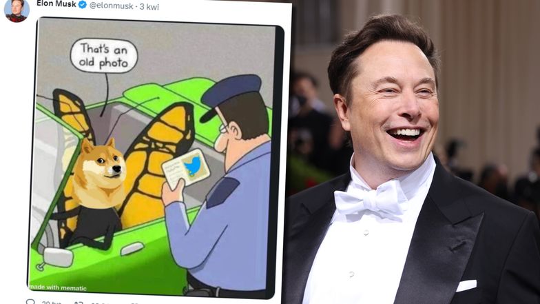 Elon Musk zastąpił niebieskiego ptaszka na Twitterze ikoną doge'a. Kurs Dogecoina wystrzelił