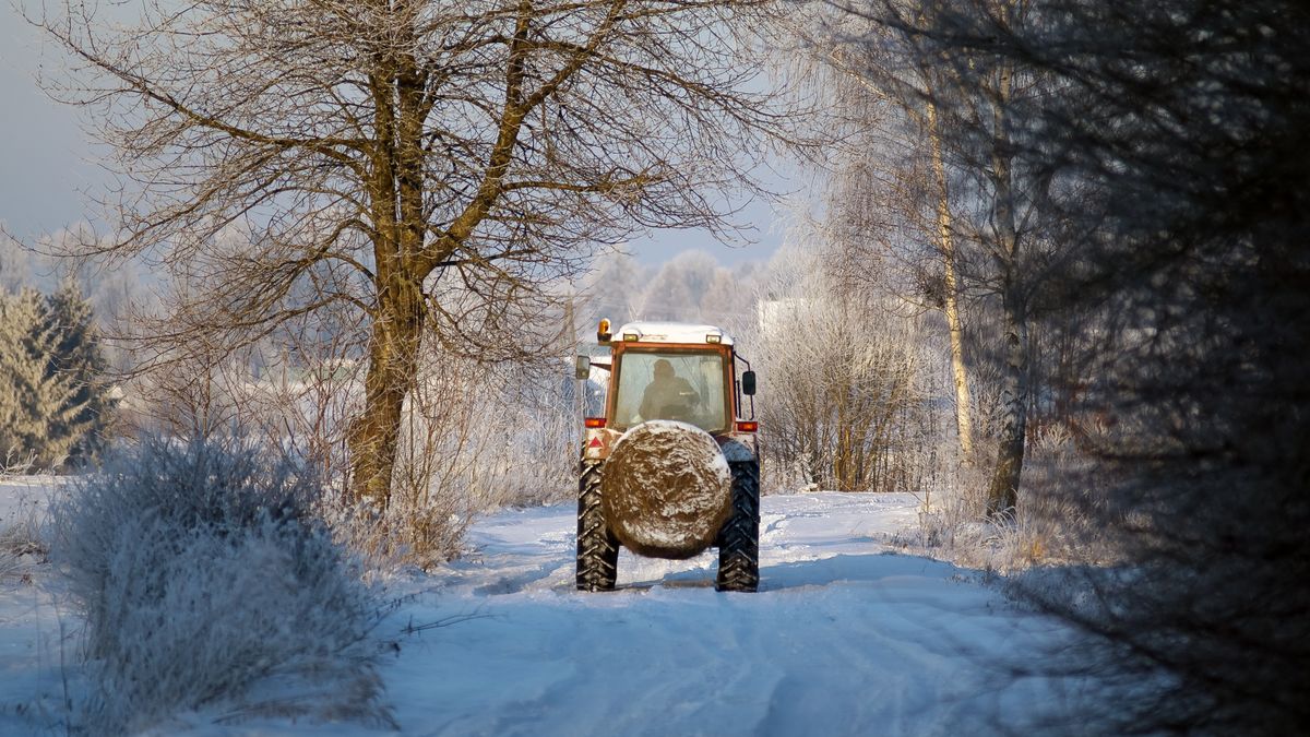 Obawy rolników przed umową z Mercosur nieuzasadnione?