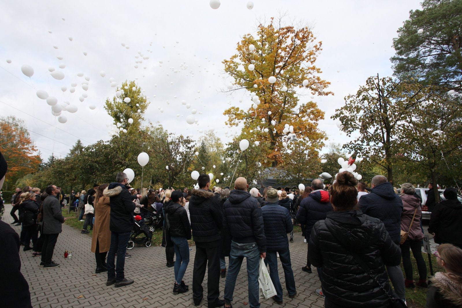 Balony poleciały do nieba