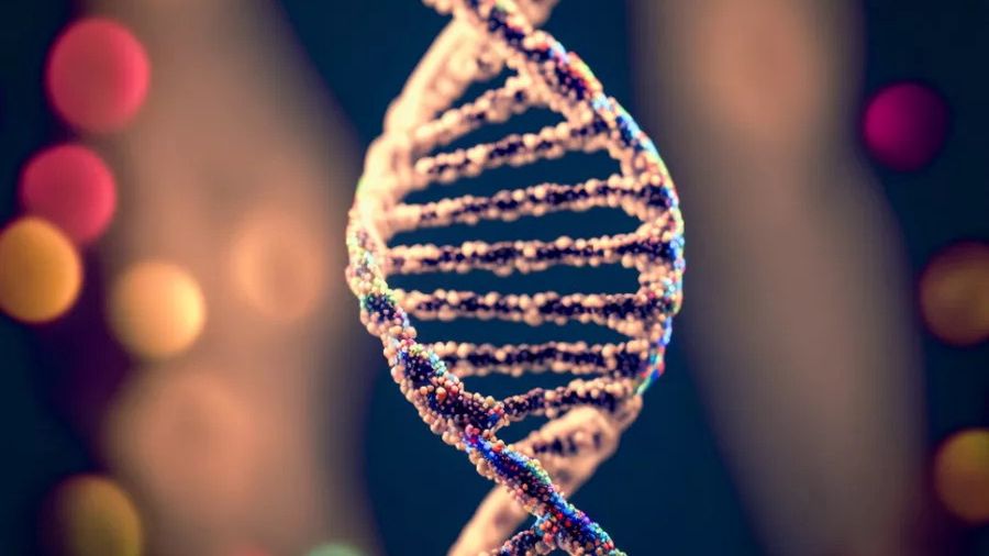 Łańcuch DNA - wizualizacja