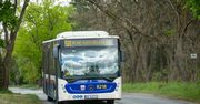 Kierowca autobusu w Bydgoszczy gnał prawie 80 km/h? Mobilis zaprzecza