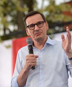 Krytyka z Niemiec po słowach premiera: "Polityczny manewr"