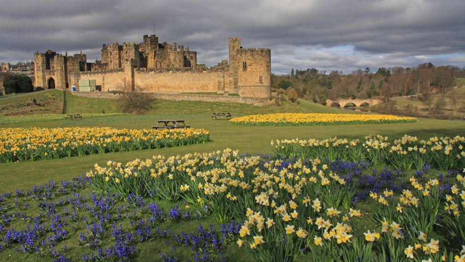 Zamek Alnwick