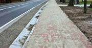 Podkarpackie: Nowe chodniki przy drogach wojewódzkich. Gdzie powstaną