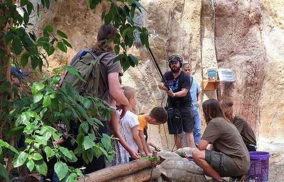 Nowy program „ZOOoo-praktykanci!” od 2 grudnia w ATM Rozrywka