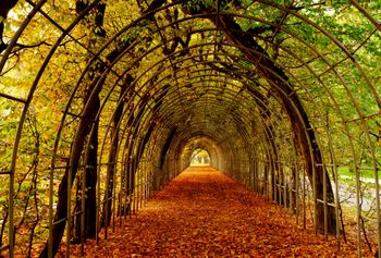 Unikatowa atrakcja w Kołobrzegu. Zachwyciła dziennikarzy z Niemiec