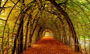 Unikatowa atrakcja w Kołobrzegu. Zachwyciła dziennikarzy z Niemiec