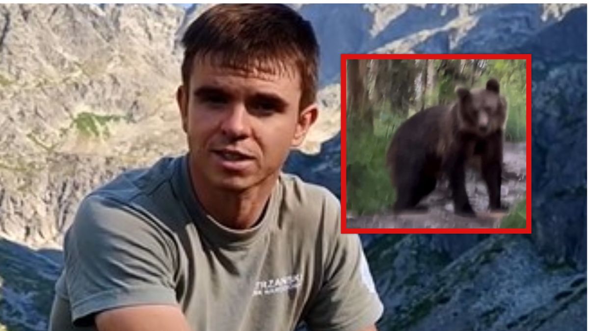 Tomasz Zając mówi o spotkaniu z niedźwiedziem.