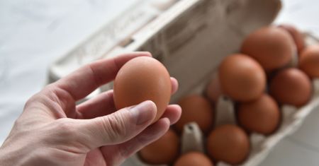 Zabraknie jaj przed Wielkanocą? Jest komunikat