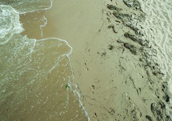 Groźne bakterie w popularnych kąpieliskach. Są pierwsze zakazy kąpieli