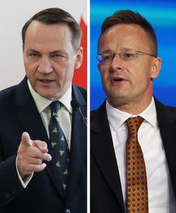 Sikorski odpowiada Węgrom. "To się nazywa samoobrona"