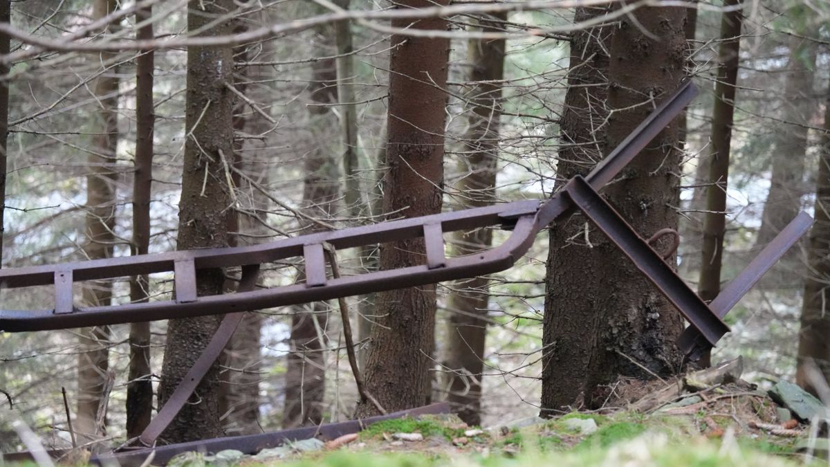 Sanie transportowe porzucone w bezśnieżnej scenerii Lasockiego Grzbietu