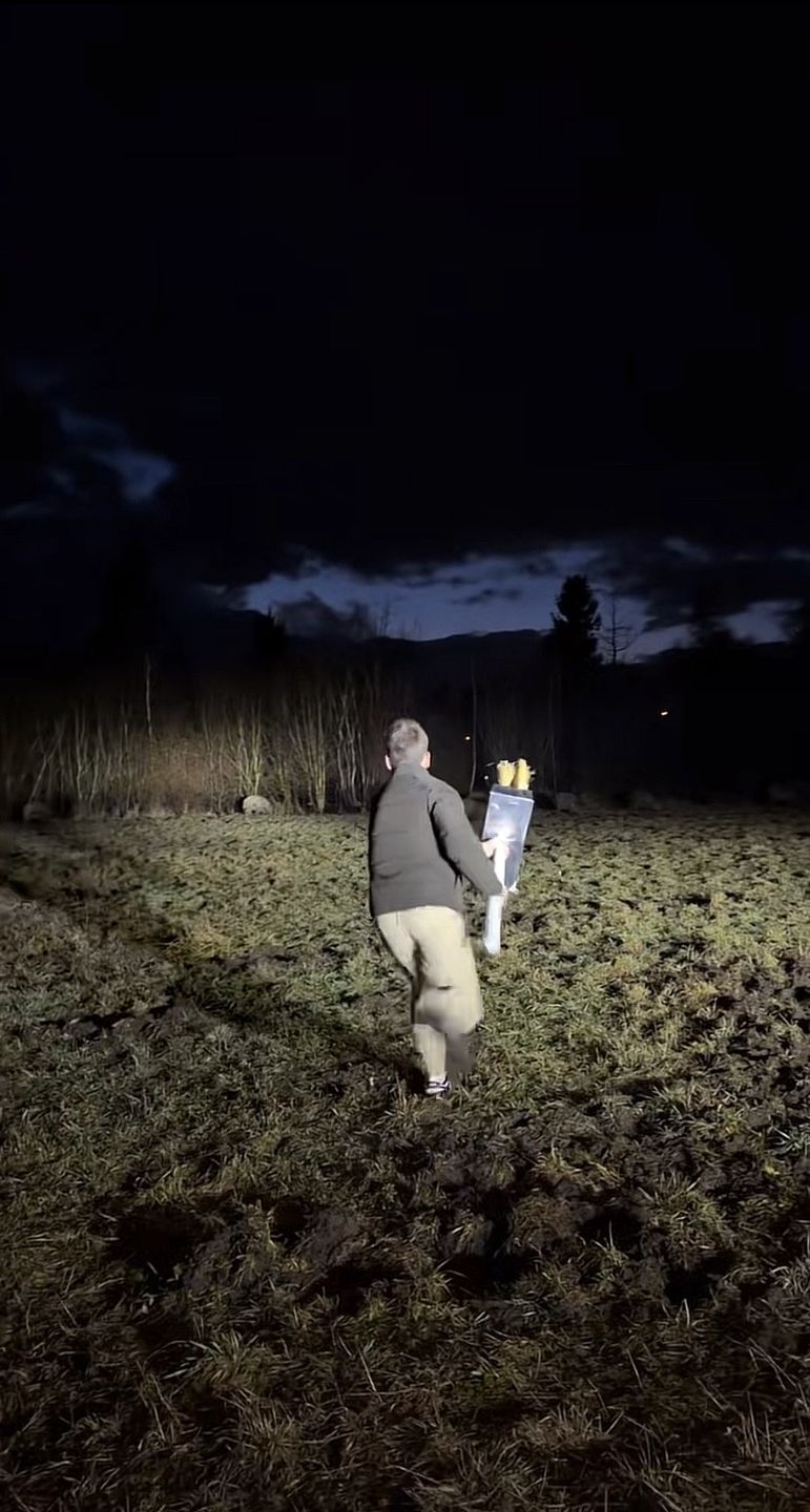 Friz kontynuuje walkę z dzikami