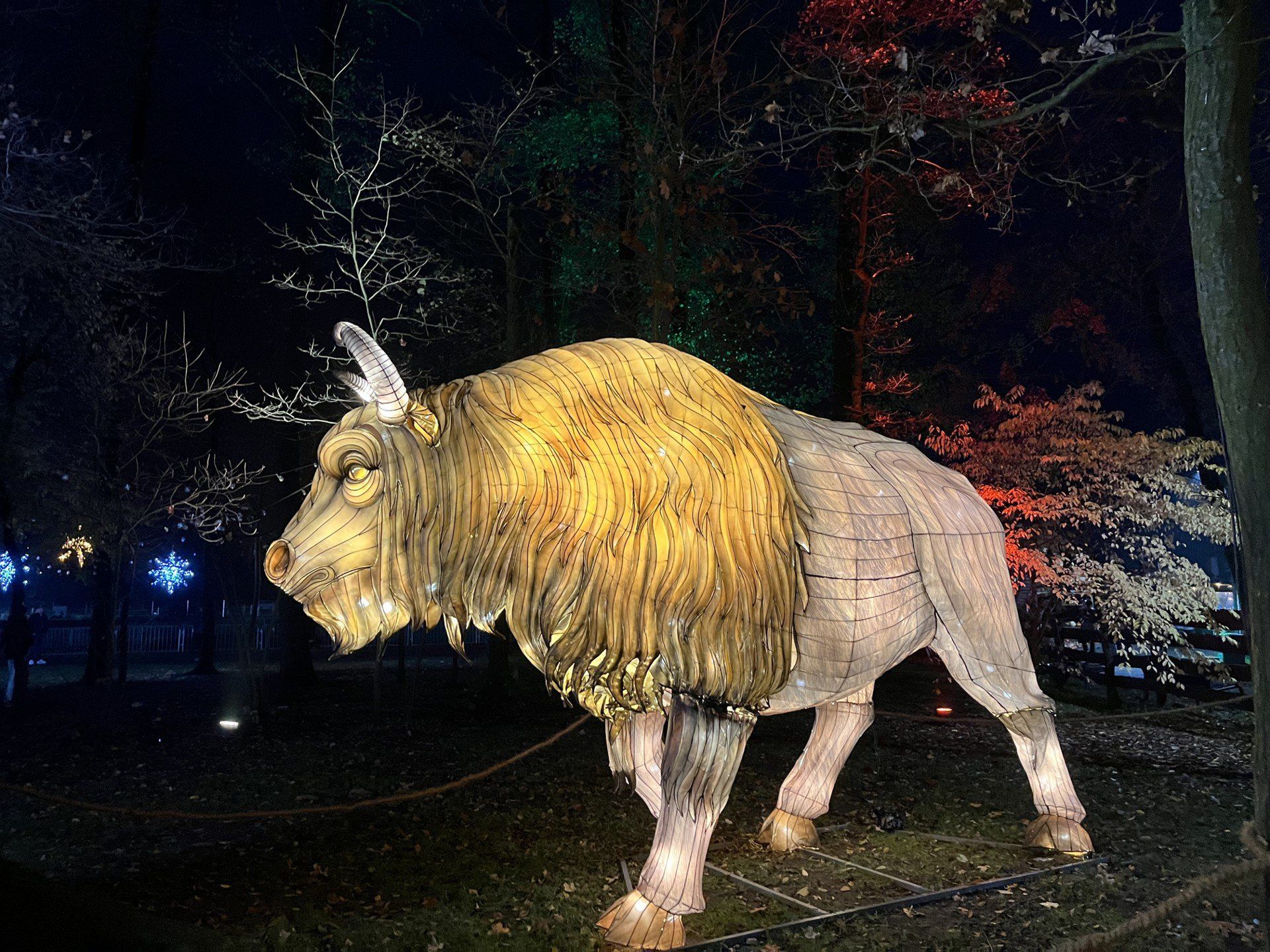 Lumina Park w Dobroniance obok Łodzi