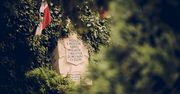 Pięć lat projektu PGE „Tablice Pamięci”