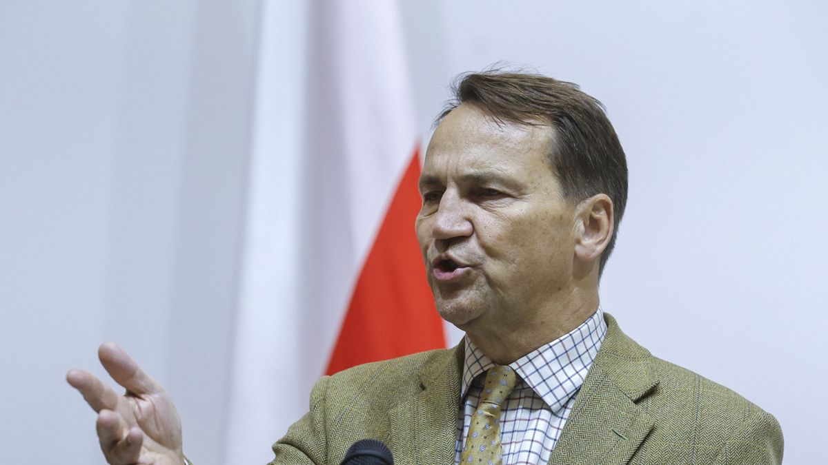 "Bylibyśmy zdolni". Sikorski o przechwytywaniu dronów nad Ukrainą