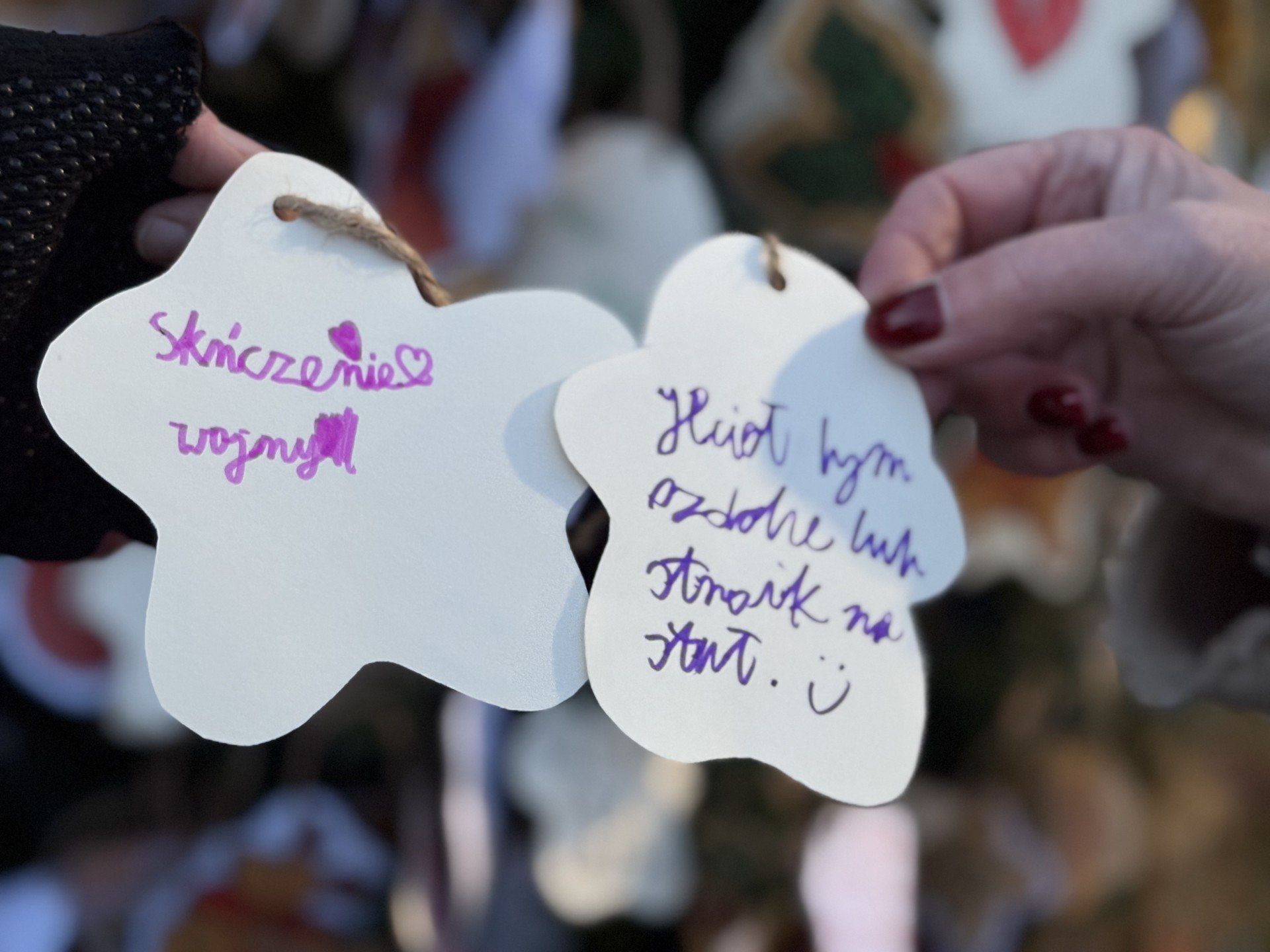 Na gdańskiej Zaspie zapalono lampki na choince!