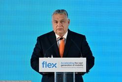 "Szczególnie absurdalne". Ekspert miażdży pomysł Orbana