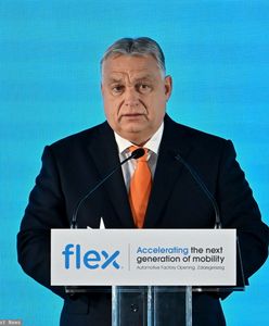 "Szczególnie absurdalne". Ekspert miażdży pomysł Orbana