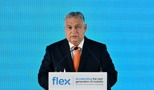 "Szczególnie absurdalne". Ekspert miażdży pomysł Orbana