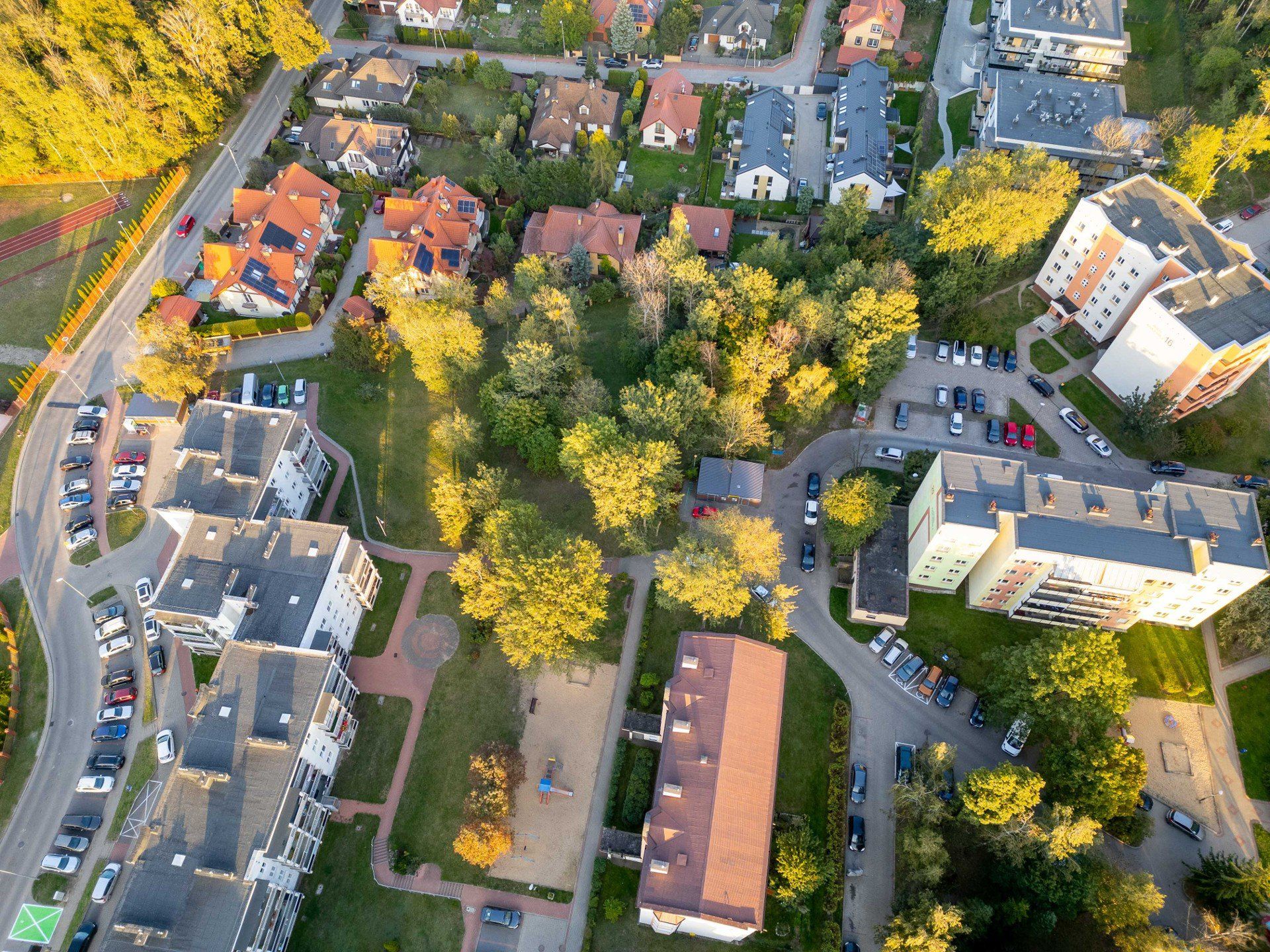 W lesie między Niską i Armii Krajowej powstanie leśny park kieszonkowy