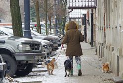 Nadchodzą zmiany dla właścicieli czworonogów. "Czas skończyć z fikcją"