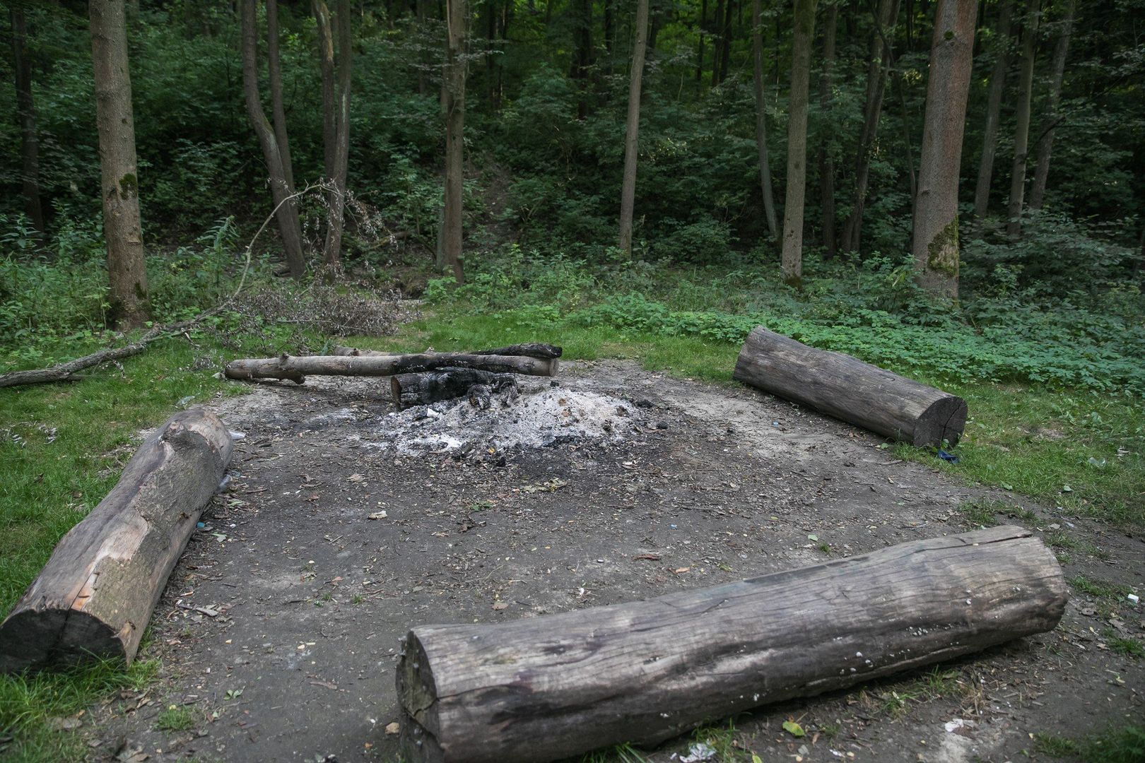 W Lesie Witkowickim w Krakowie można grillować w wyznaczonych miejscach piknikowych. Najlepiej zorganizować grilla w ramach oficjalnego pikniku, który można zgłosić do Zarządu Zieleni Miejskiej.  Zorganizowanie pikniku jest możliwe wyłącznie w dni robocze, od 7:30 do 15:30 – w godzinach pracy Zarządu Zieleni Miejskiej. Wcześniej należy uzgodnić termin i warunki z urzędem ZZM.
