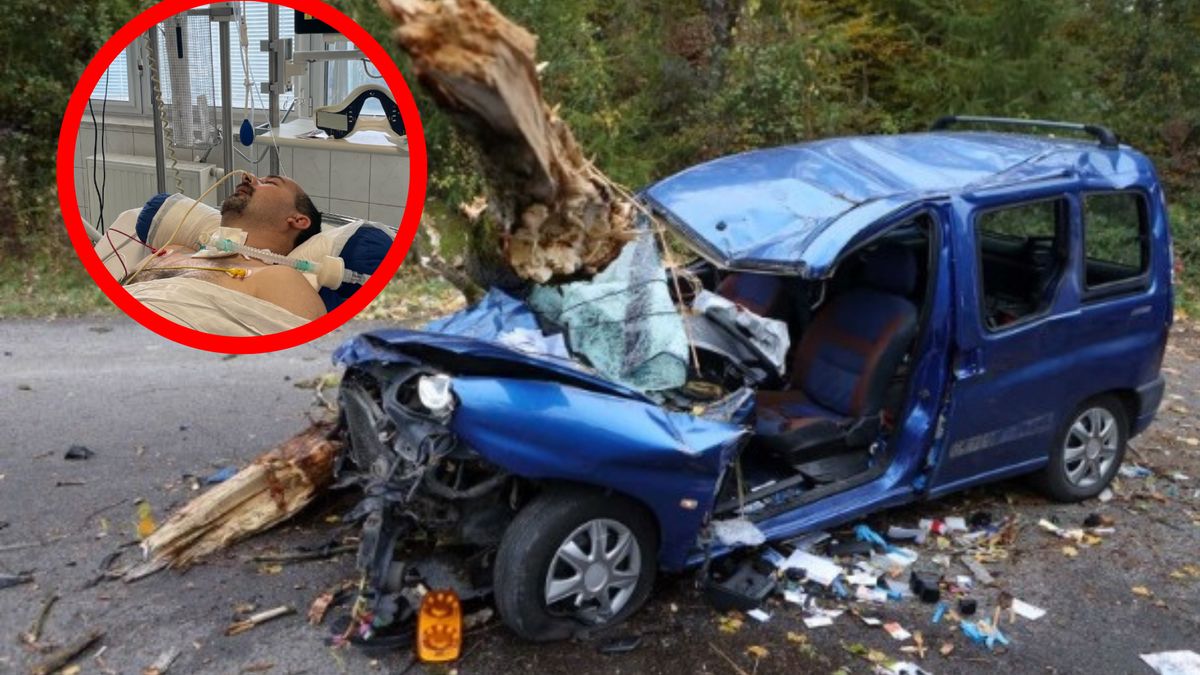 Na jadące auto z ojcem i synem nagle spadło drzewo