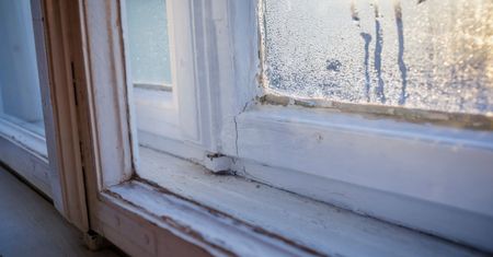 Widzisz wodę na szybach? Postaw to na parapecie, a wilgoć zniknie