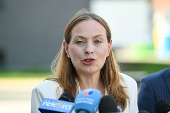 Chcą wyprowadzić Polskę z ETS. "PiS zachorował na ciężką amnezję"