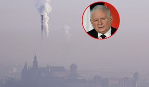 Śmieci się "rozeszły". Wygląda na to, że Polacy palą pieniędzmi