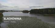 Zalew Blachownia