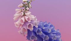 Flume wydaje płytę "Skin"