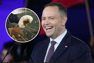 Zakaz hodowli zwierząt na futra na biurku prezydenta. Będzie weto? Są naciski