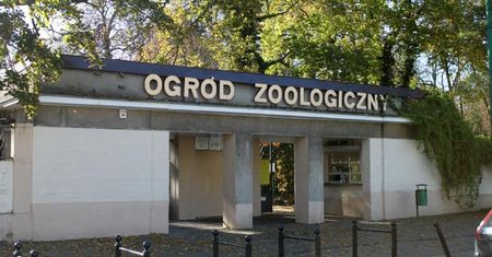 Warsztaty, zabawy, zajęcia i inne atrakcje z okazji Dnia Dziecka w Starym Zoo
