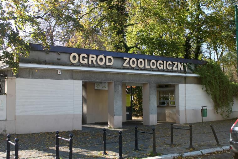 Warsztaty, zabawy, zajęcia i inne atrakcje z okazji Dnia Dziecka w Starym Zoo