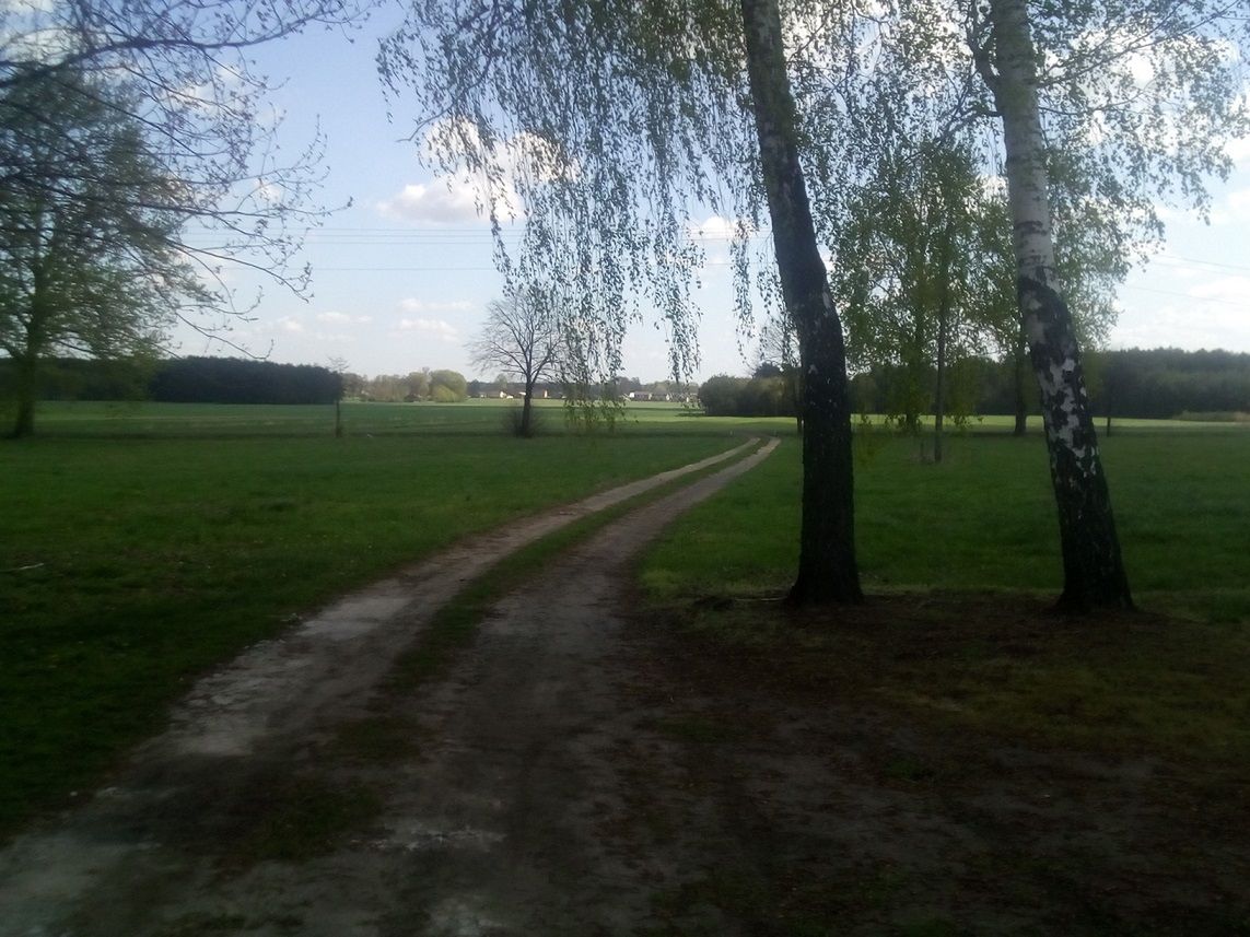 Test Bluboo Picasso – bardzo tani smartfon z zaskakująco dobrą obudową 9