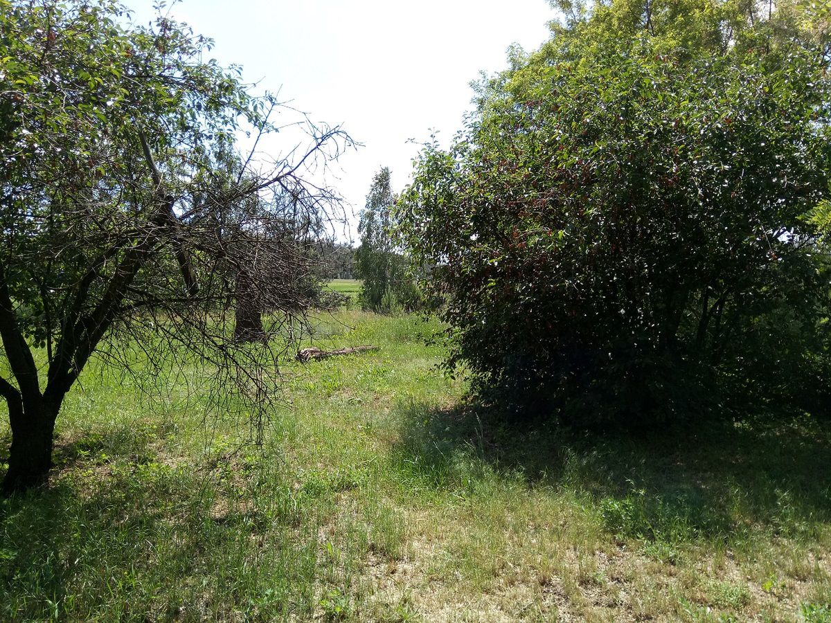 Test TP-Link Neffos X1: perfekcja wykonania w niskiej cenie 18