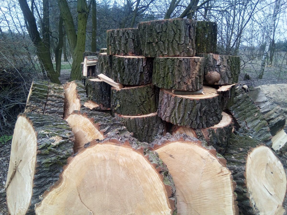 Test Bluboo Picasso 4G – ulepszono wszystko i wciśnięto reklamy 11