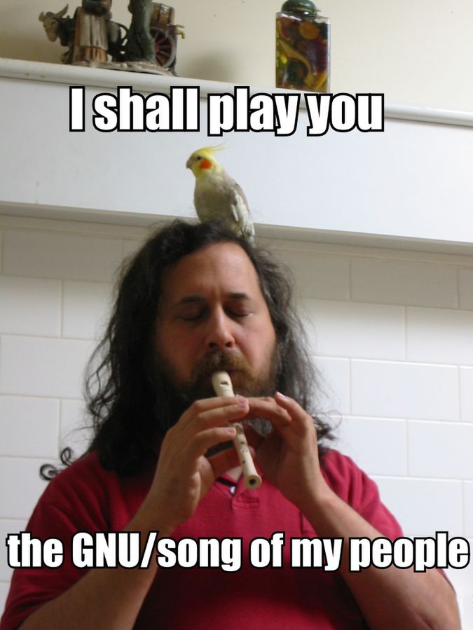 Na zdjęciu Stallman gra koncert na afrykańskim flecie, a przysłuchuje się temu występowi jedna z jego nimf. Warto dodać, że jest od wielu lat wielbicielem tej rasy papug.