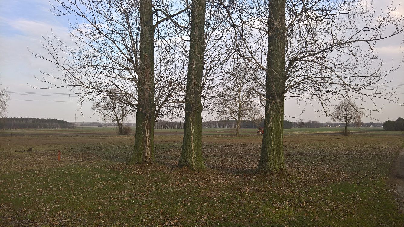 Lumia 950 XL – test drogiego smartfonu, który zawodzi zbyt często 10