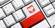 Raport MAiC: Polacy lubią e-administrację