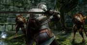 Nowa galeria z Dark Souls II