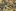 Firefly Studios zbiera na grę Stronghold Crusader II