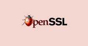 Kolejna luka w OpenSSL. Panika całkowicie zbyteczna