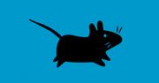 Nowe Xfce 4.12 – środowisko z myszą biegnie w kołowrotku, nie za konkurencją