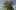 Pokaz możliwości półprzepuszczalności dzięki Foliage Shading Model