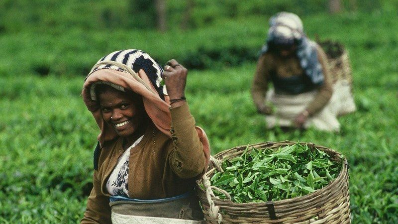 Zdjęcie z archiwum Polskiego Stowarzyszenia Sprawiedliwego Handlu.