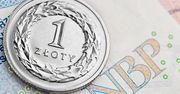 Złoty mocniejszy po decyzji RPP i EBC